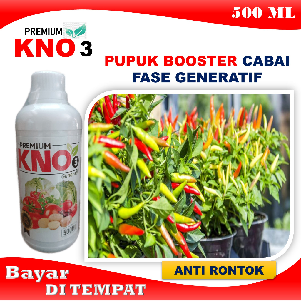 Pupuk Booster Pelebat Cabe Banyak Dan Besar PREMIUN KNO3 - Obat Bagus Cepat Panen Cabe Tanpa Rontok
