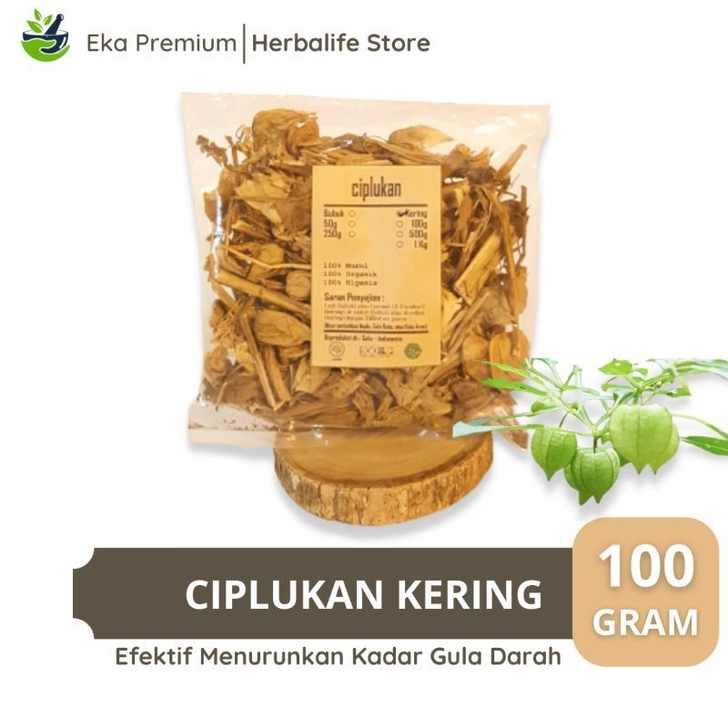 

CIPLUKAN KERING 100 Gram Ramuan Rempah Herbal Daun Buah Akar Asli Tradisional Obat Sakit Diabetes