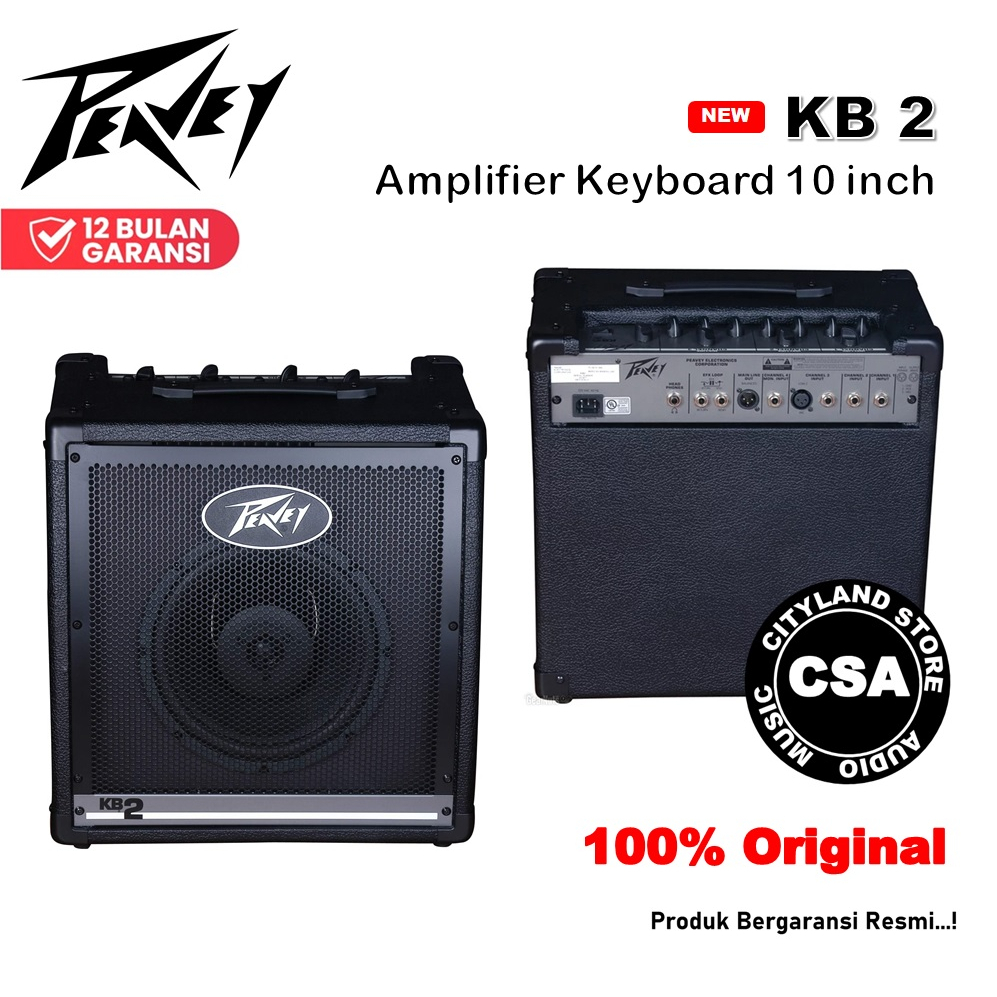 Amplifier keyboard peavey kb 2 10 inch original