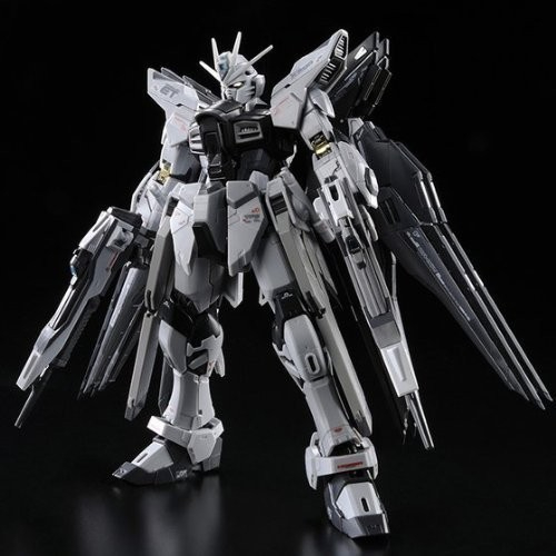 BANDAI Plamo RG Strike Freedom Gundam Deactive Mode