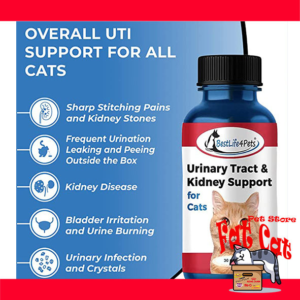 Obat susah kencing kucing obat urinary kucing kencing berdarah Per Botol