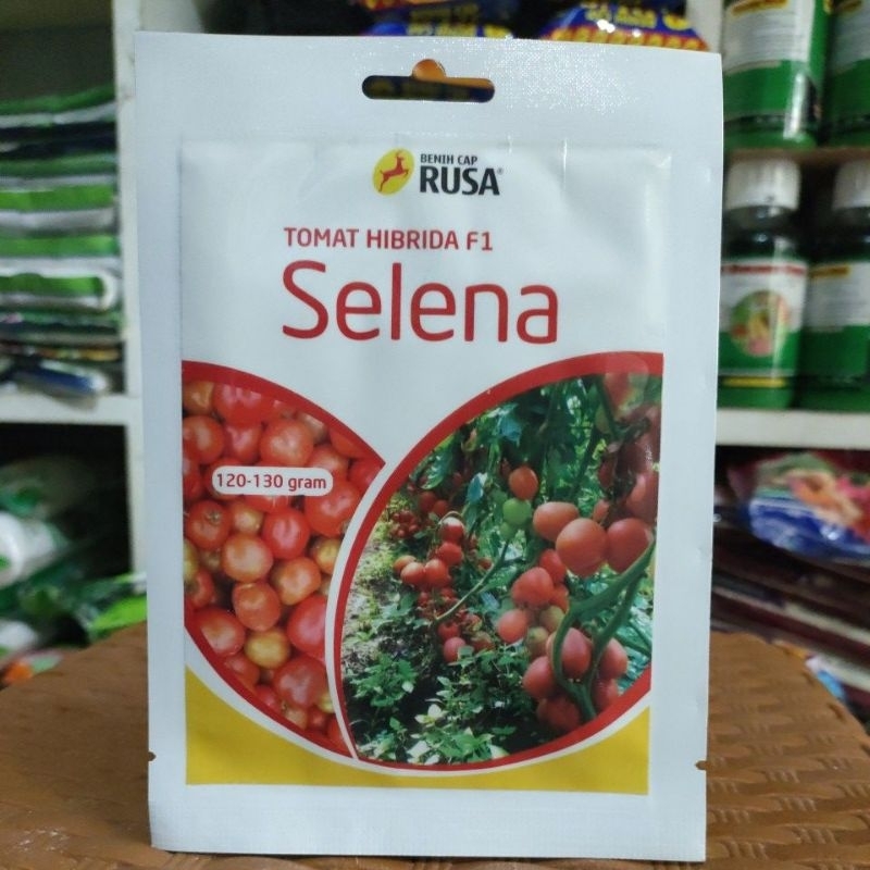 Benih Tomat Hibrida F1 SELENA (10 GRAM) | BENIH CAP RUSA | ORIGINAL 100%