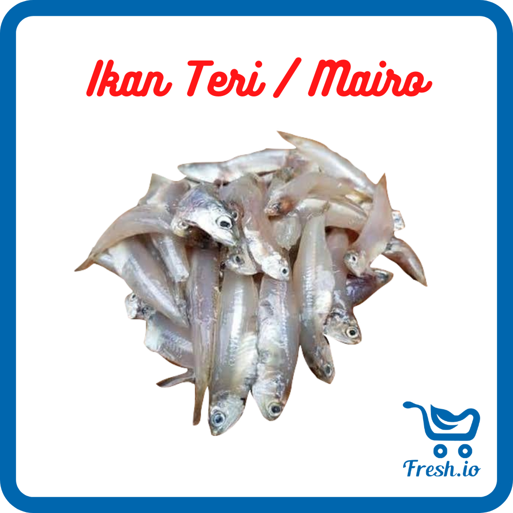 

Ikan Teri / mairo