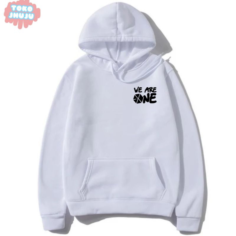 Hoodie Jumper Exo We Are One Logo Kecil