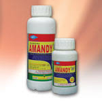 herbisida AMANDY 865 SL 200 ml pembasmi rumput gulma pada padi