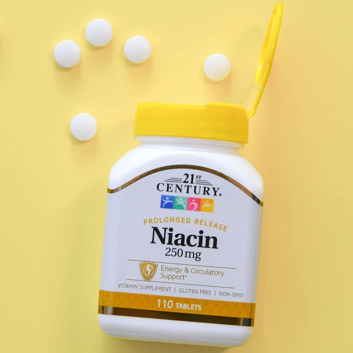 21st Century Niacin 250 500 mg 110 100 Tablet ORI USA