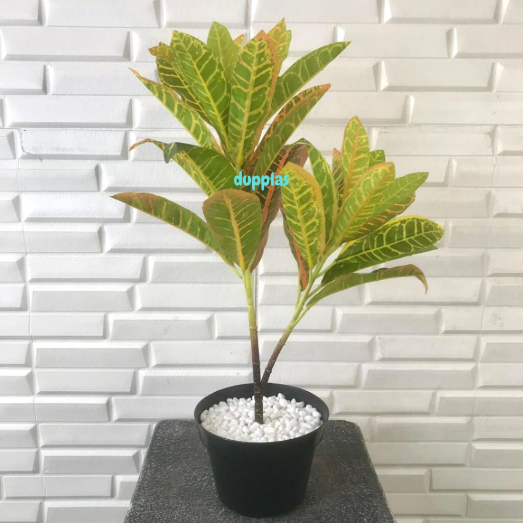 Pohon Hias Plastik Puring Worten X2 T50 Pot Dasar Dekorasi Studio