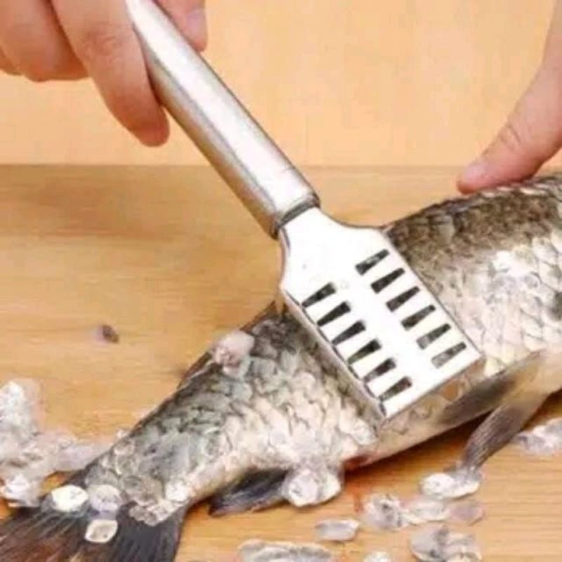 Alat Pembersih Sisik Penyisik Pengeruk Kulit Ikan Stainless — 10