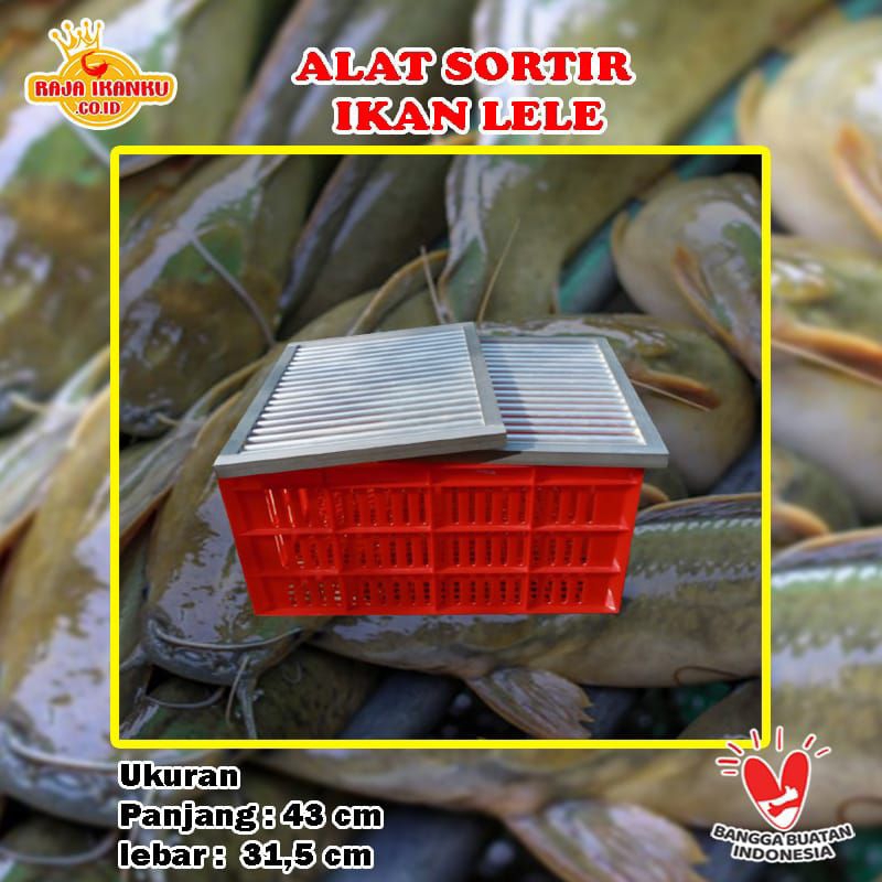 Alat Sortir Lele Alat Sortir Ikan Lele / Seritan Ikan Lele Pengganti Bak Sortir Ikan Lele.
