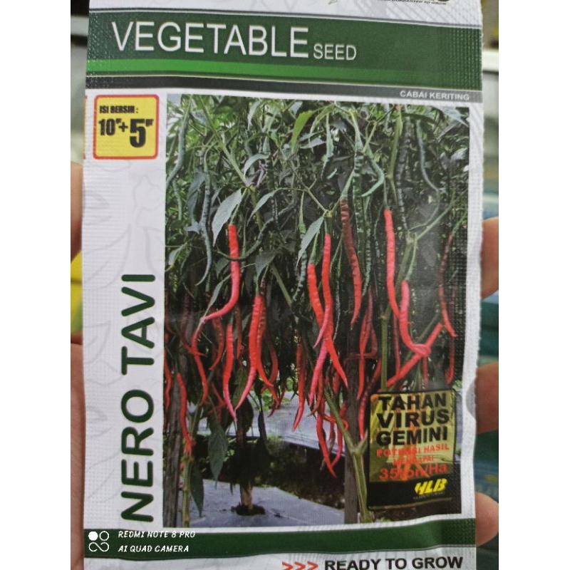Benih Cabe Merah Kriting NERO TAVI Vegetable Seed 10Gr