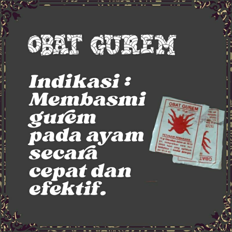 OBAT GUREM UNTUK MEMBASMI GUREM ( KUTU ) PADA AYAM