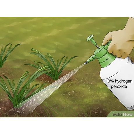 H2O2 50% Hidrogen Pirosida GKM Farm