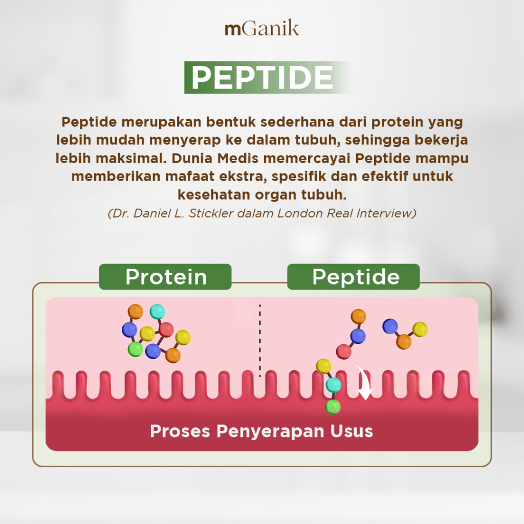 Herbal Penyumbatan Pembuluh Darah Jantung Koroner M ganik 3Peptide