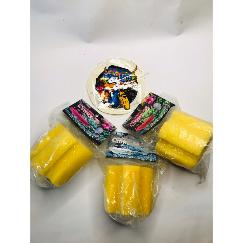 Sponge filter aquarium