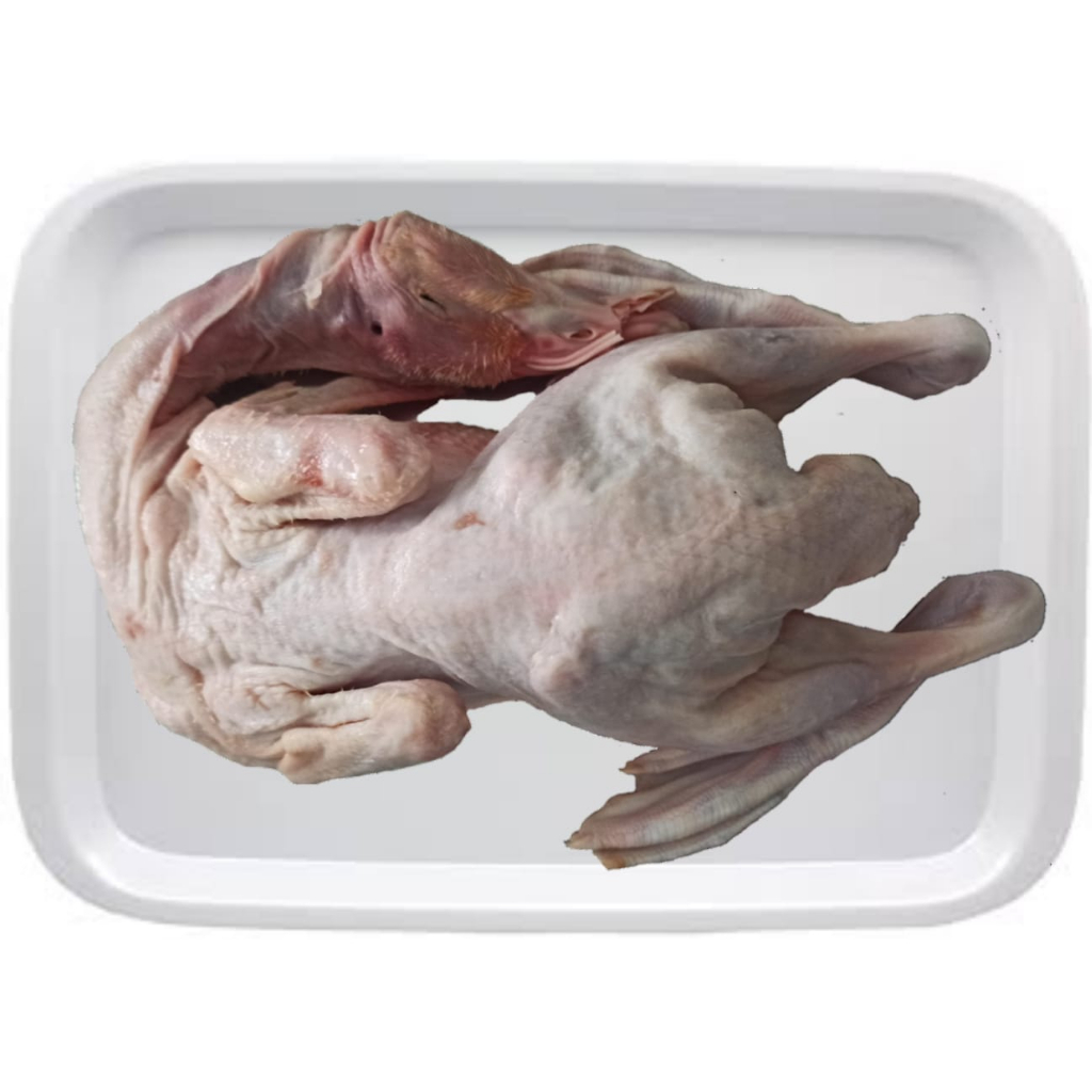 

Bebek Frozen Utuh 1,1 KG