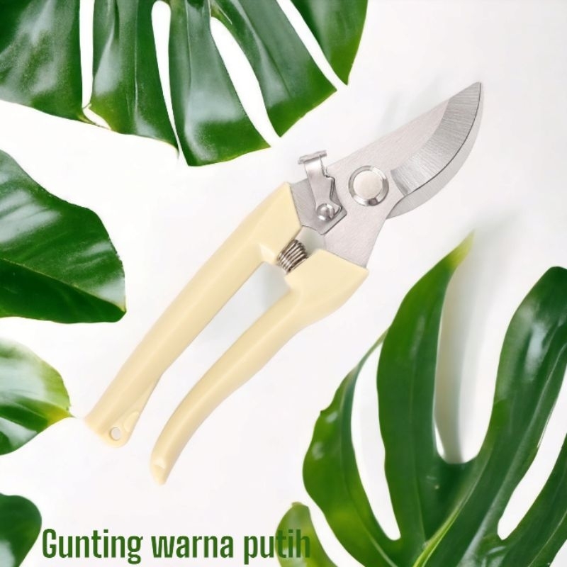 Gunting Dahan Ranting Pruning  Alat Potong Dahan Ranting Stek Pruning Shears (Gunting putih)