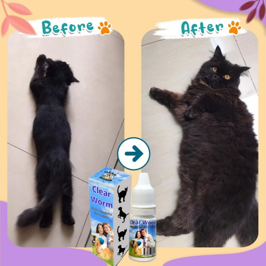 Clear Worm Asli Original Obat Cacing Kucing Anak Kitten Ampuh Murah Tablet Ori Clear Worm Untuk Cats Dewasa Kiten FEFARM