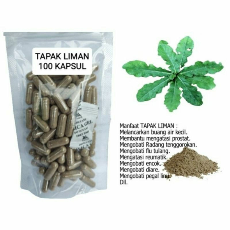 

TAPAK LIMAN Kapsul Herbal Alami Kemasan Hemat - isi 100 pcs