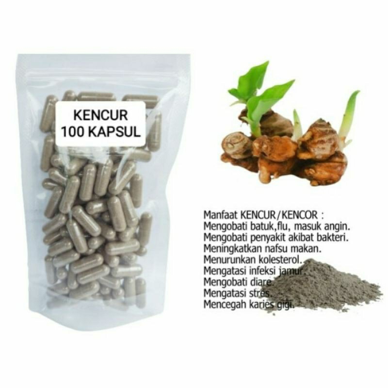 

KENCUR Kapsul Herbal Alami Kemasan Hemat - isi 100 pcs