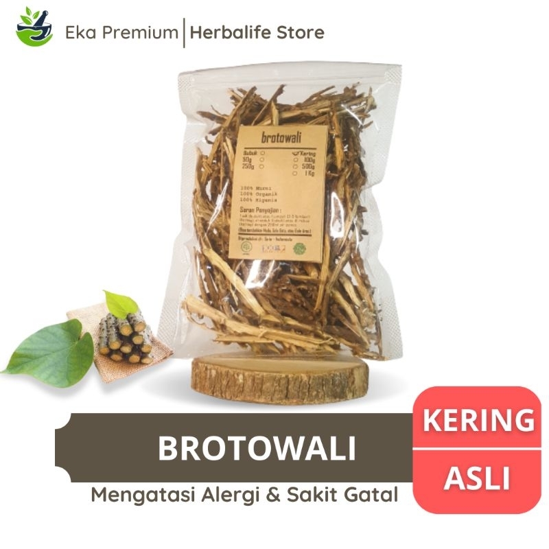 

BROTOWALI KERING Bratawali Asli Ramuan Rempah Herbal Murni Tradisional Obat Ampuh Atasi Alergi Sakit Gatal Diabetes Menyapih Anak