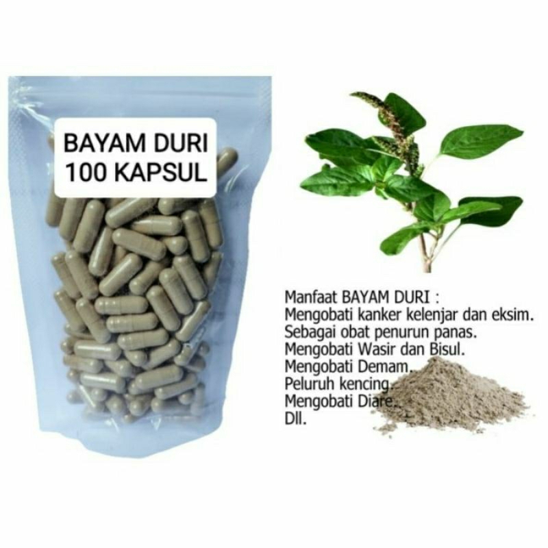 

BAYAM DURI Kapsul Herbal Alami Kemasan Hemat - isi 100 pcs