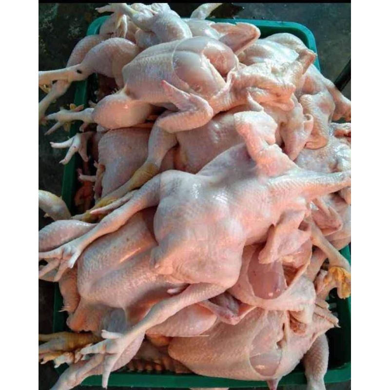 

Daging Ayam Ready setiap hari