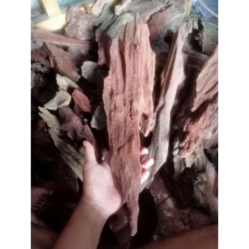 Kayu Rentek