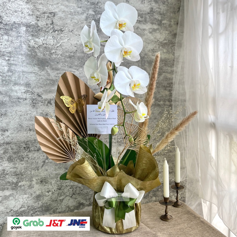 BUNGA ANGGREK BULAN ANGGREK POT HIDUP RANGKAIAN BUKET BUNGA ANGGREK BUNGA MEJA ANGGREK FLOWER TABLE 