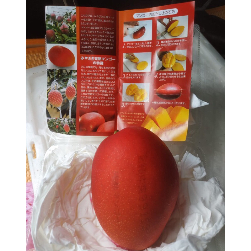 

Mangga Miyazaki Kanjuku Japanese Fresh Import