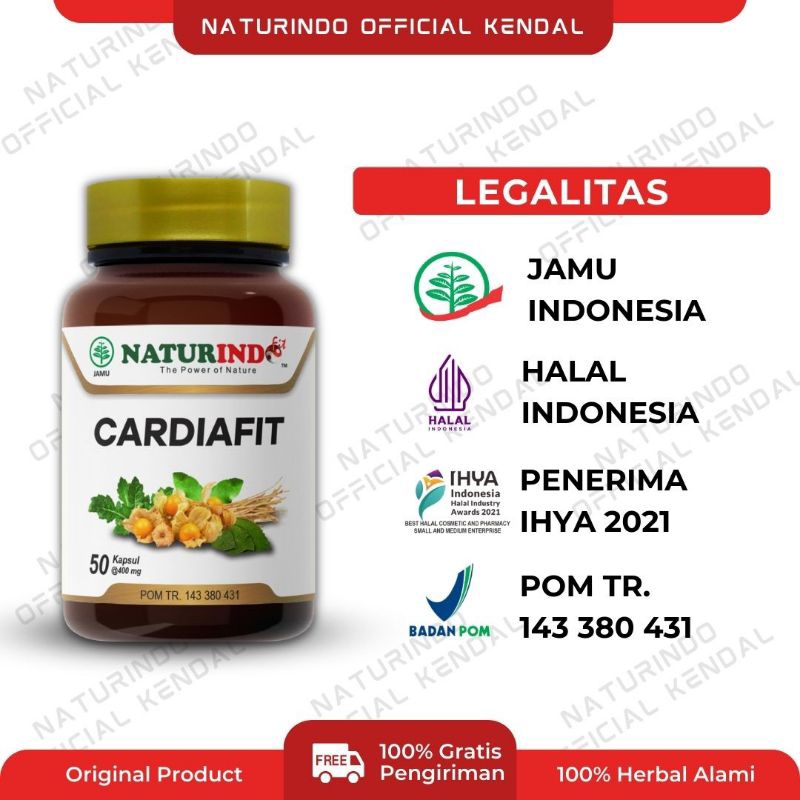 Obat herbal spesial jantung paling ampuh, herbal atasi lemah jantung, obat atasi jantung berdebar, herbal jantung lemah