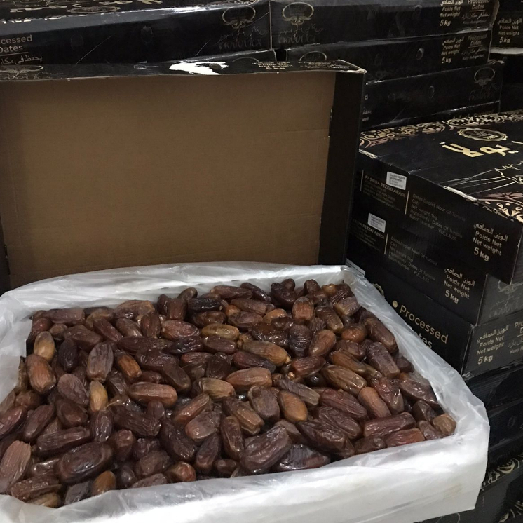 Kurma Tunis 5 Kg Kurma Tunisia Douglet Kurma Kering