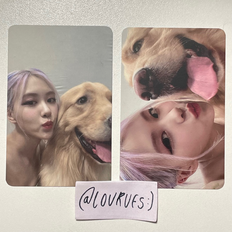 BLACKPINK ROSÉ KTOWN4U POB PRE-ORDER BENEFIT ROSE PHOTOCARD PC BENE DOG ANJING LISA JENNIE JISOO SET