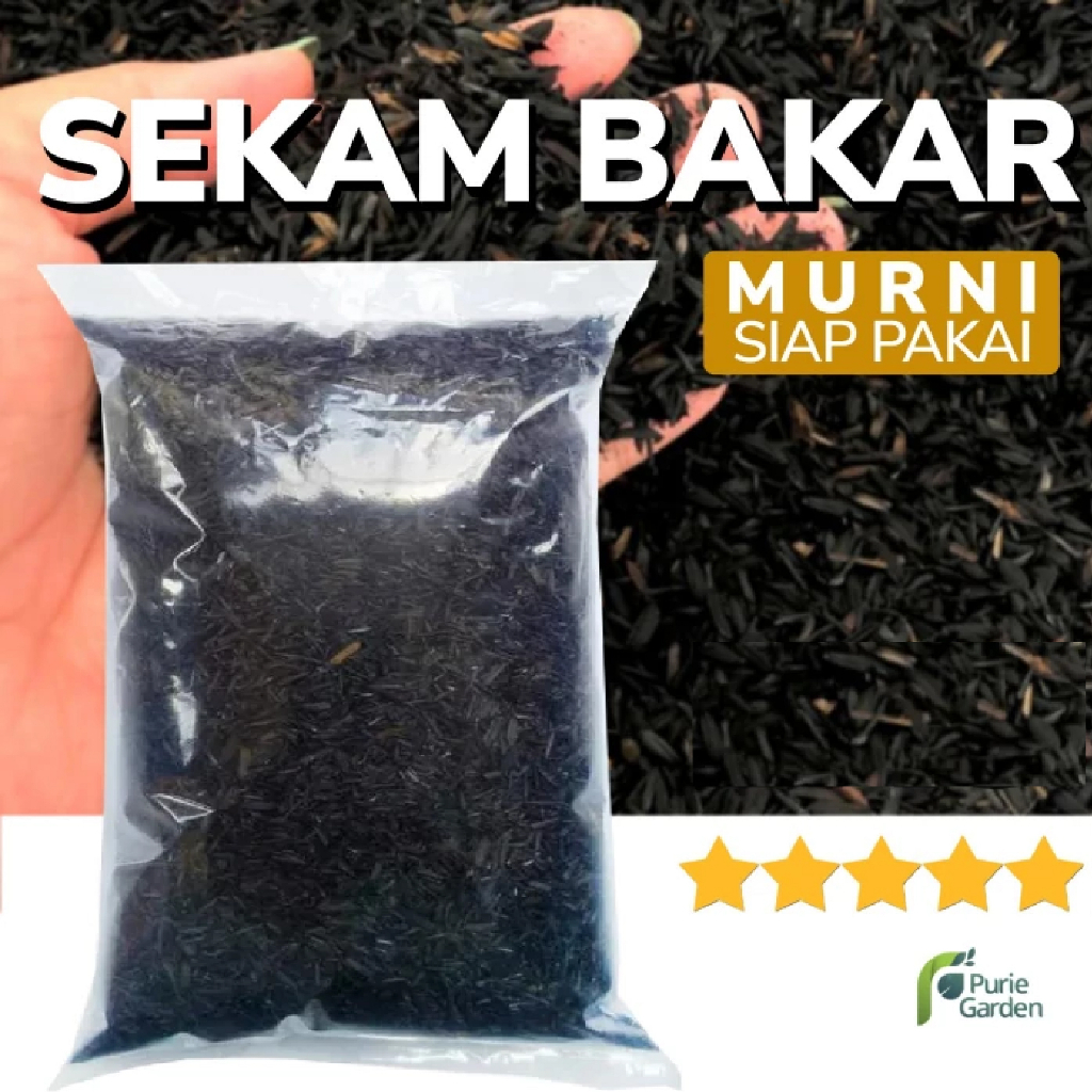 Sekam Bakar Murni Organik Media Tanam 3 Liter PG KDR