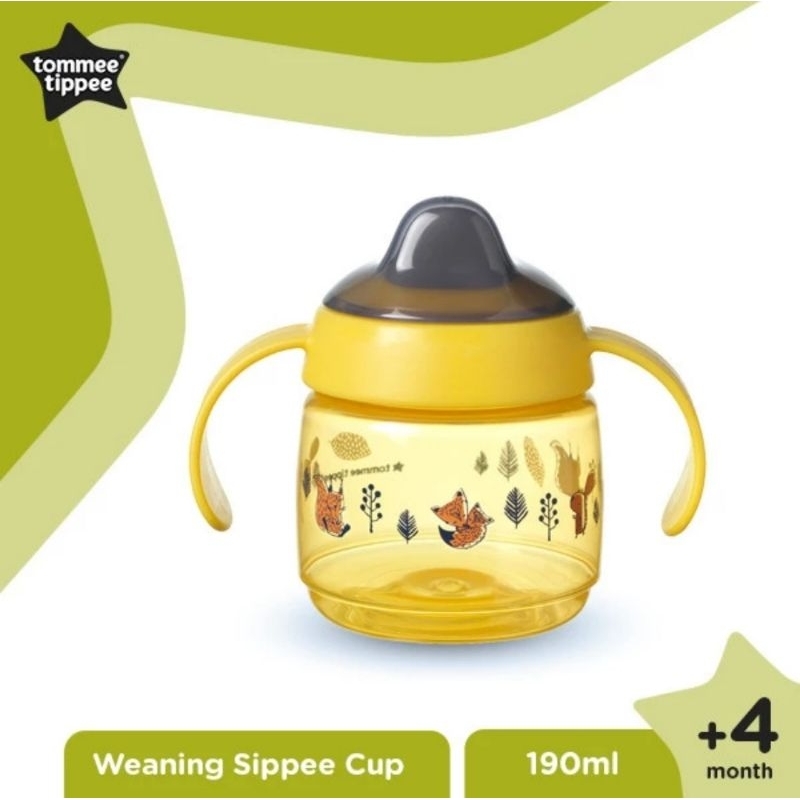 Tommee Tippee Superstar Weaning Sippy Cup 190 ml - Gelas Bayi