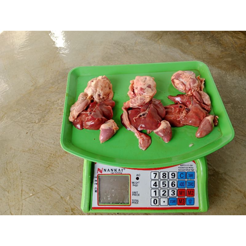 

hati ampela ayam segar hati ampela fress sepasang