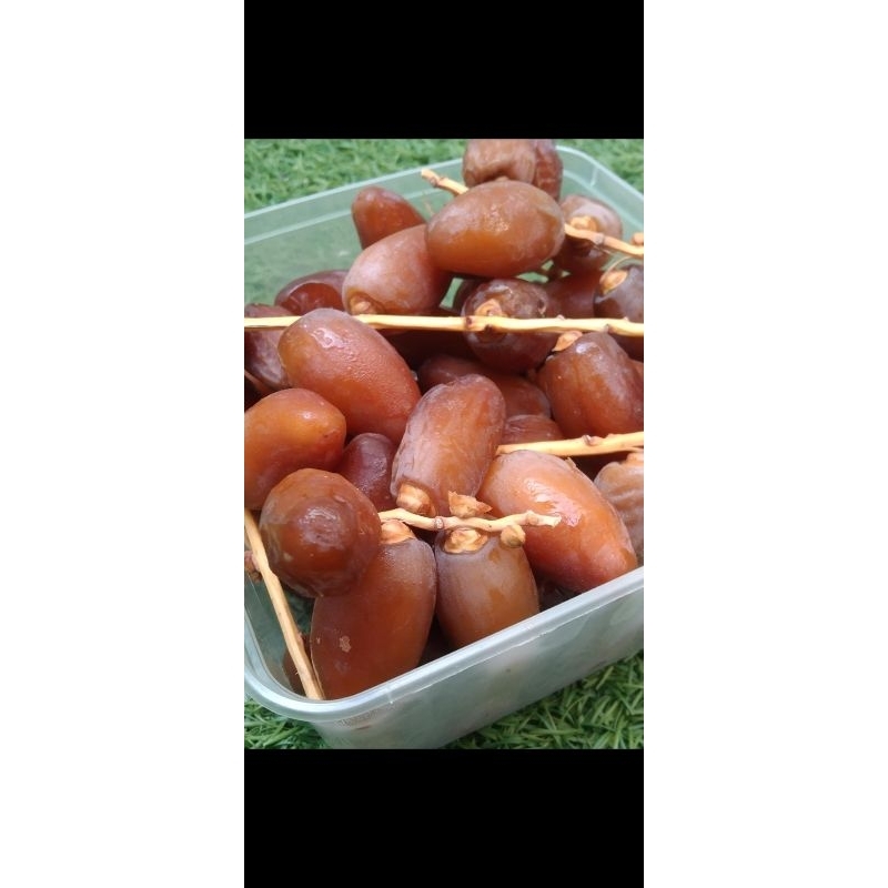 

Kurma Ruthob Kemasan 500 gram