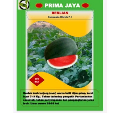 Benih Semangka Berlian F1 Non Biji Oval/Lonjong Prima Jaya