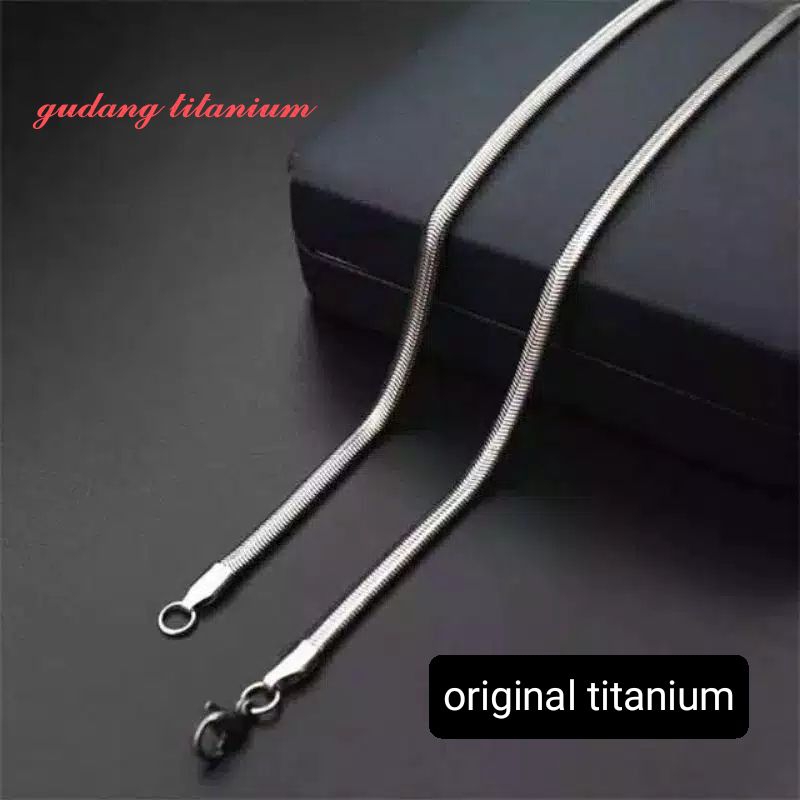 Kalung titinium pria wanita model belut pipih gold dan silver