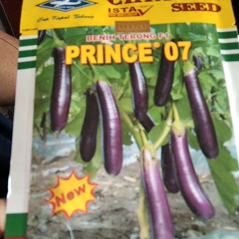 terong prince 07,10 grm