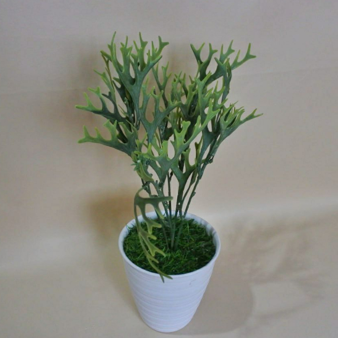 Tanaman Hias Artificial Tanduk Rusa