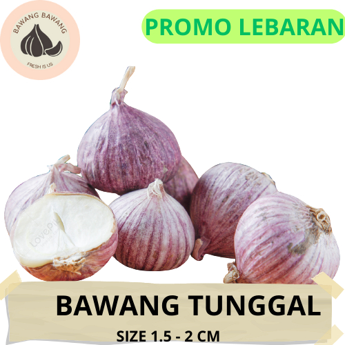 Bawang Putih Tunggal Lanang 1 Kg | Cocok untuk Madu