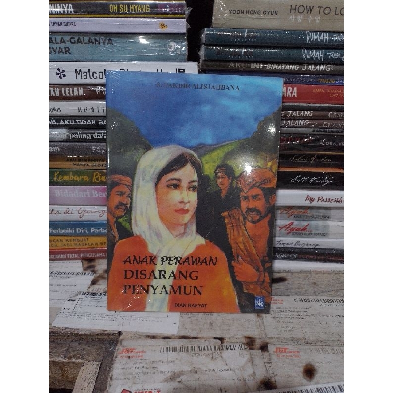 novel sastra Anak perawan di sarang penyamun