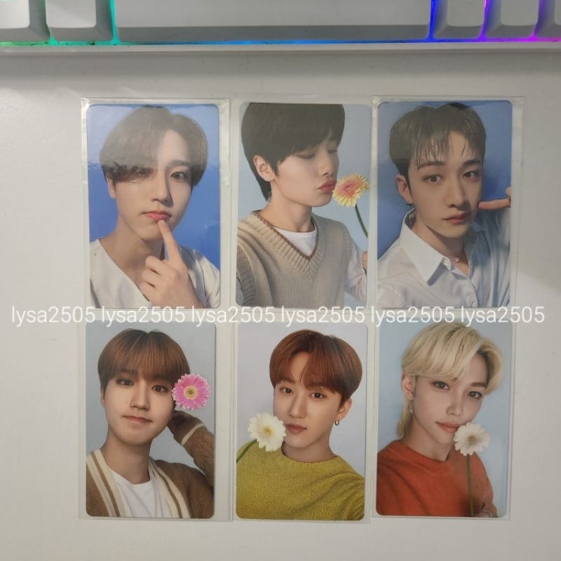 NACIFIC STRAY KIDS PC SET