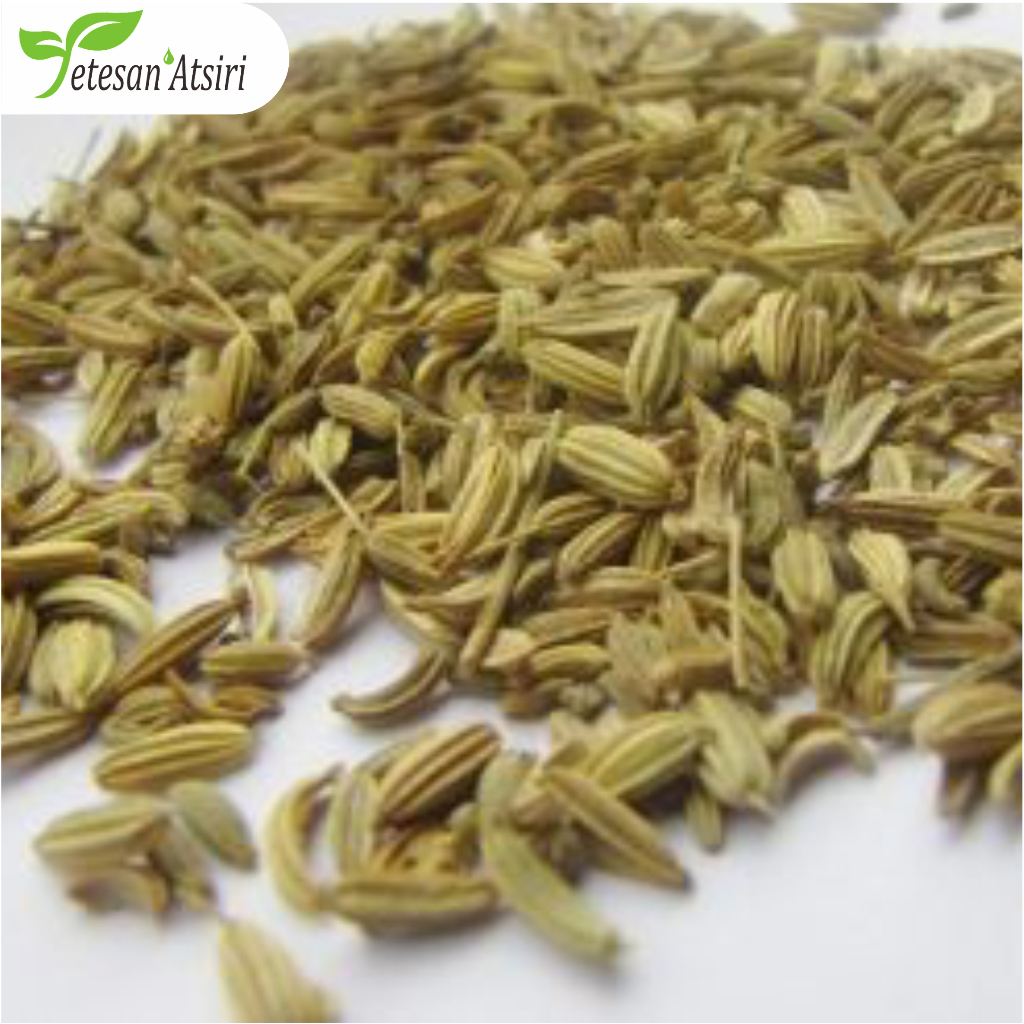3ml minyak atsiri adas murni fennel pure essential oil aromatherapy therapeutic grade diffuser humidifier burner aromaterapi esensial essensial esential tanpa campuran TETESAN ATSIRI original