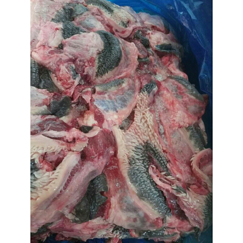 

CINGUR 1KG