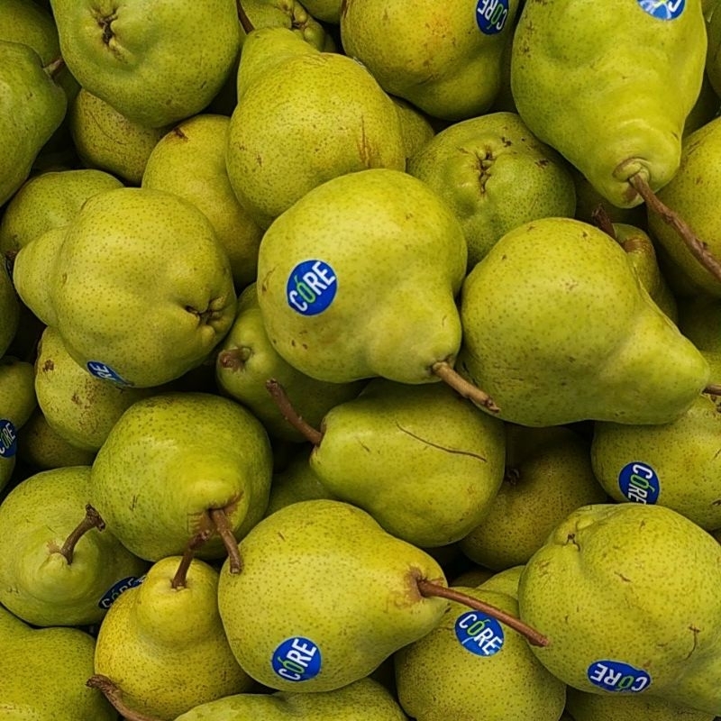 

PEAR PACKHAM SEGAR 1KG DENPASAR BALI