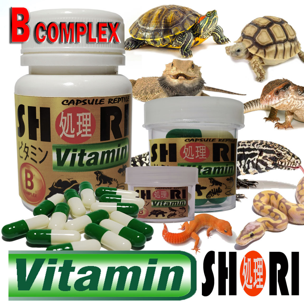 SHORI VITAMIN KAPSUL REPTIL SUPLEMEN OBAT TORTO TURTLE BIAWAK KADAL BD SALVA VARANUS GECKO BEARDED D