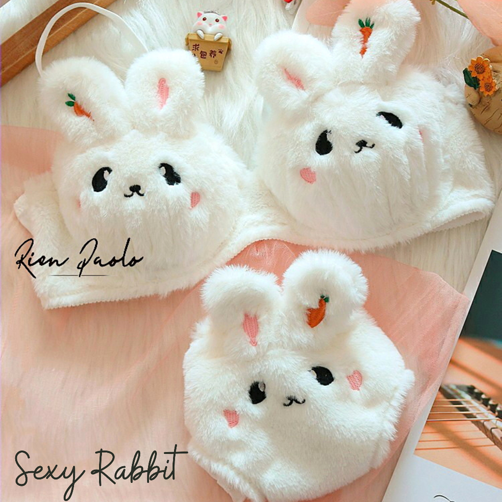 Premium Bra BH + Celana Dalam CD Tanpa Kawat Set - Sexy Hot Cosplay Bulu ( Kelinci ) Lingerie