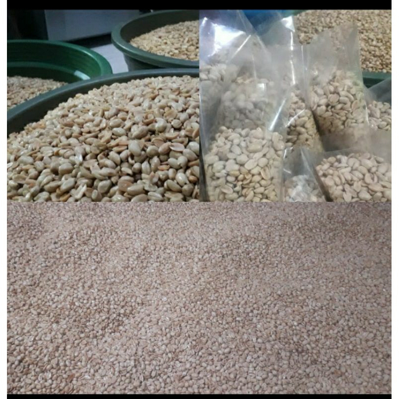

kacang Bawang