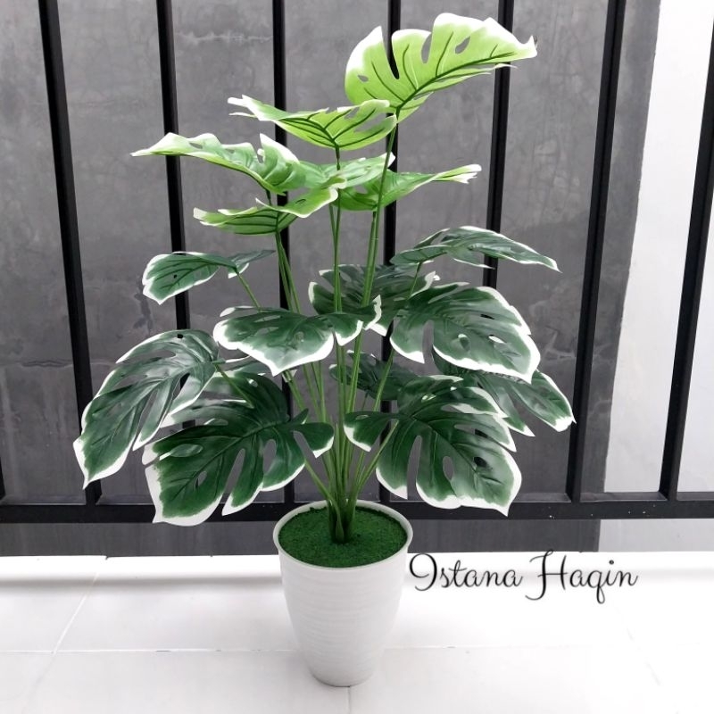 Adelonz Monstera Artificial Monstera Hijau Monstera Varigata Plus Pot